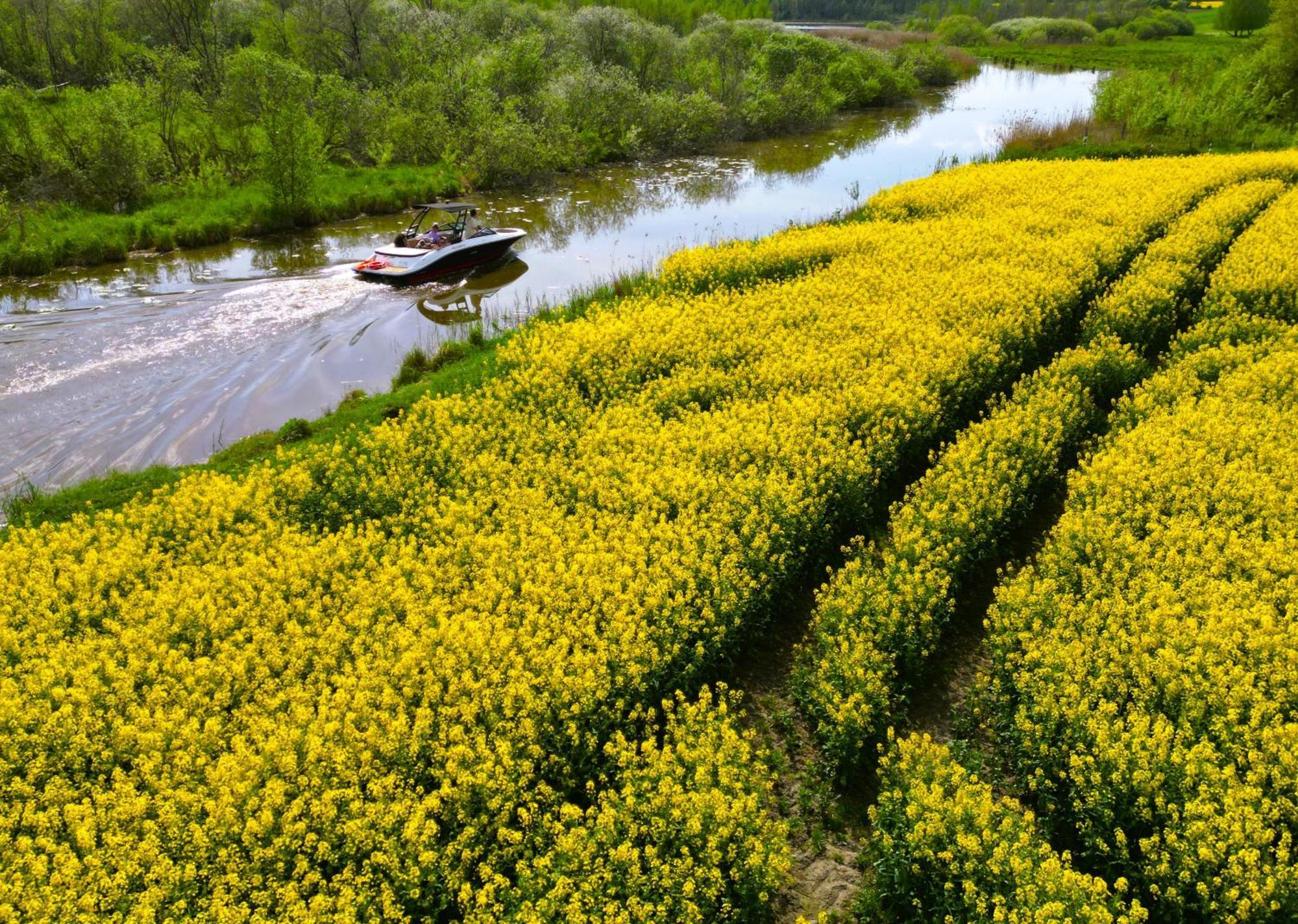 4Jeziora - Prywatny Dostep Do Rzeki, Pomost, Ogrodem, Wiata Grillowa, Rowerek Wodny, Kajaki I Sup W Cenie, Parking, Psiaki Dozwolone Ілава Екстер'єр фото